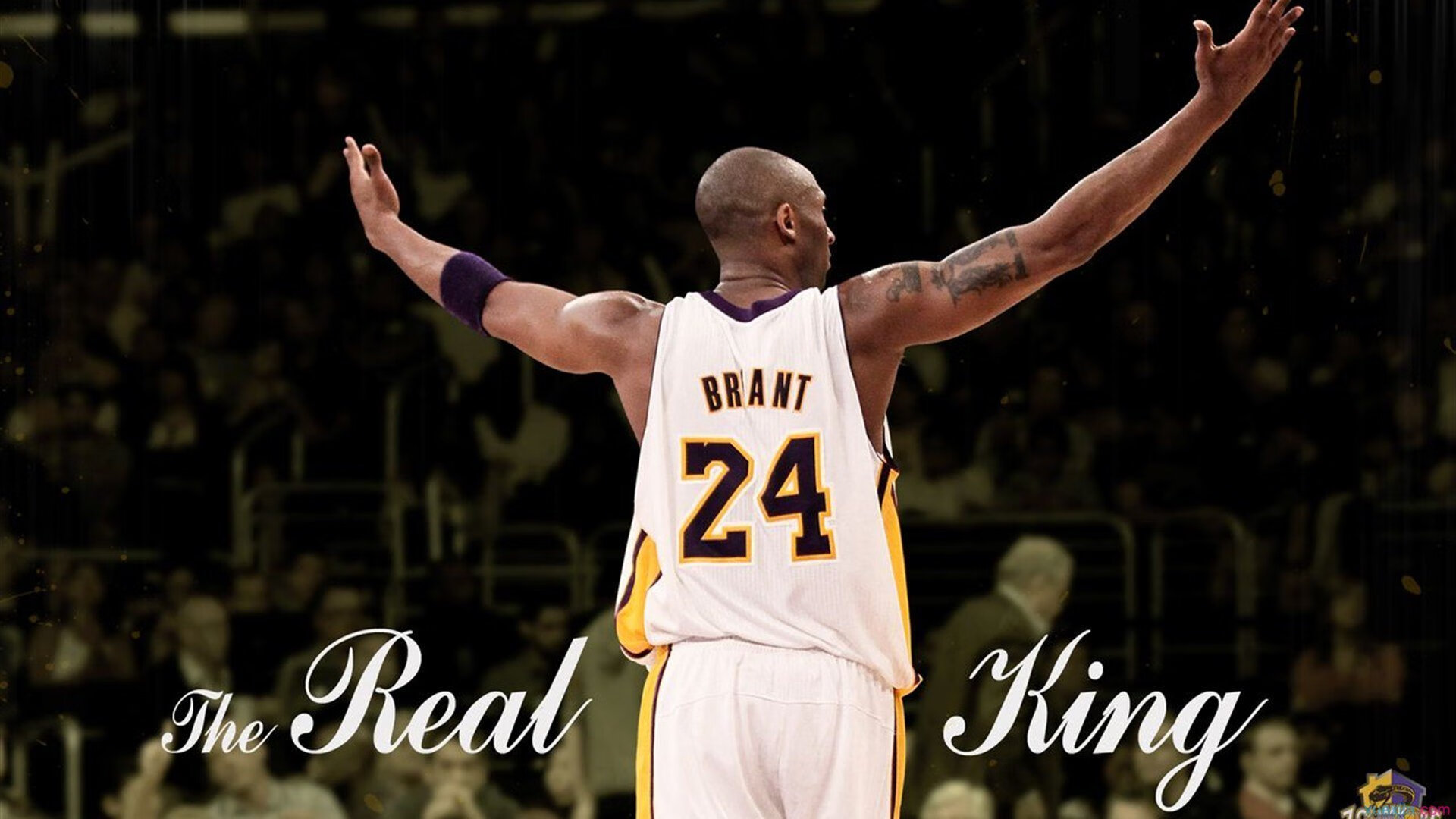 米兰app-德约再次封王，笑容太轻松了，德约hl